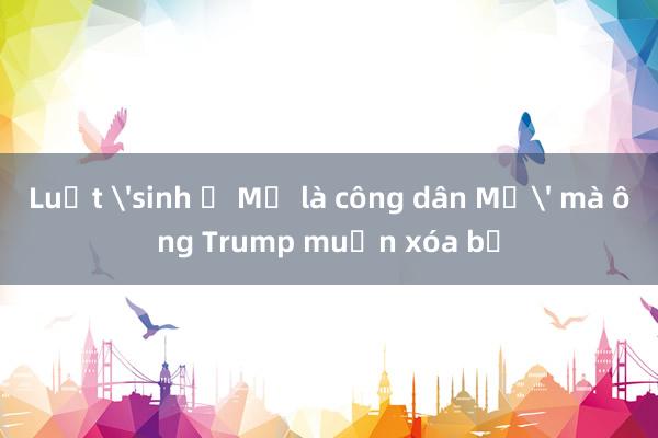 Luật 'sinh ở Mỹ là công dân Mỹ' mà ông Trump muốn xóa bỏ