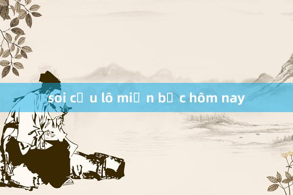 soi cầu lô miền bắc hôm nay