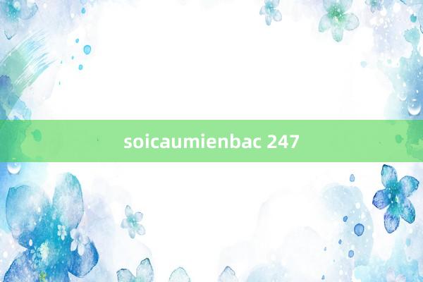 soicaumienbac 247