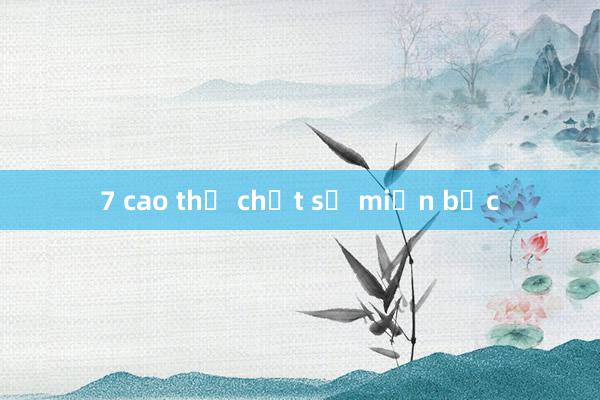 7 cao thủ chốt số miền bắc