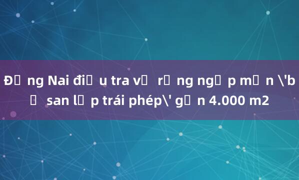 Đồng Nai điều tra vụ rừng ngập mặn 'bị san lấp trái phép' gần 4.000 m2