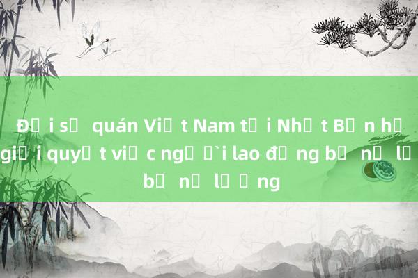 Đại sứ quán Việt Nam tại Nhật Bản hỗ trợ giải quyết việc người lao động bị nợ lương