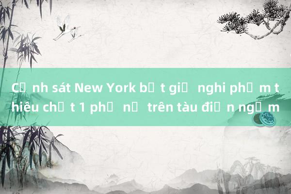 Cảnh sát New York bắt giữ nghi phạm thiêu chết 1 phụ nữ trên tàu điện ngầm