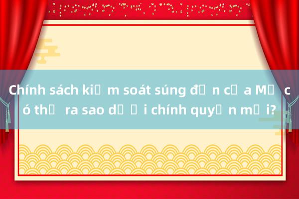 Chính sách kiểm soát súng đạn của Mỹ có thể ra sao dưới chính quyền mới?