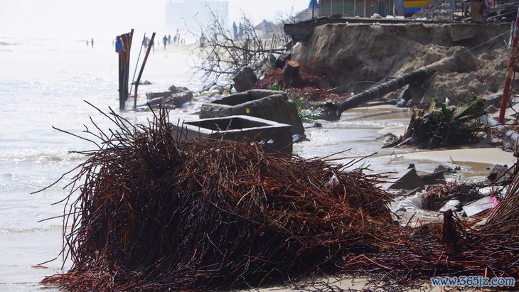 'Bãi tắm đẹp nhất hành tinh' ở Đà Nẵng lại bị xâm thực - Ảnh 11.