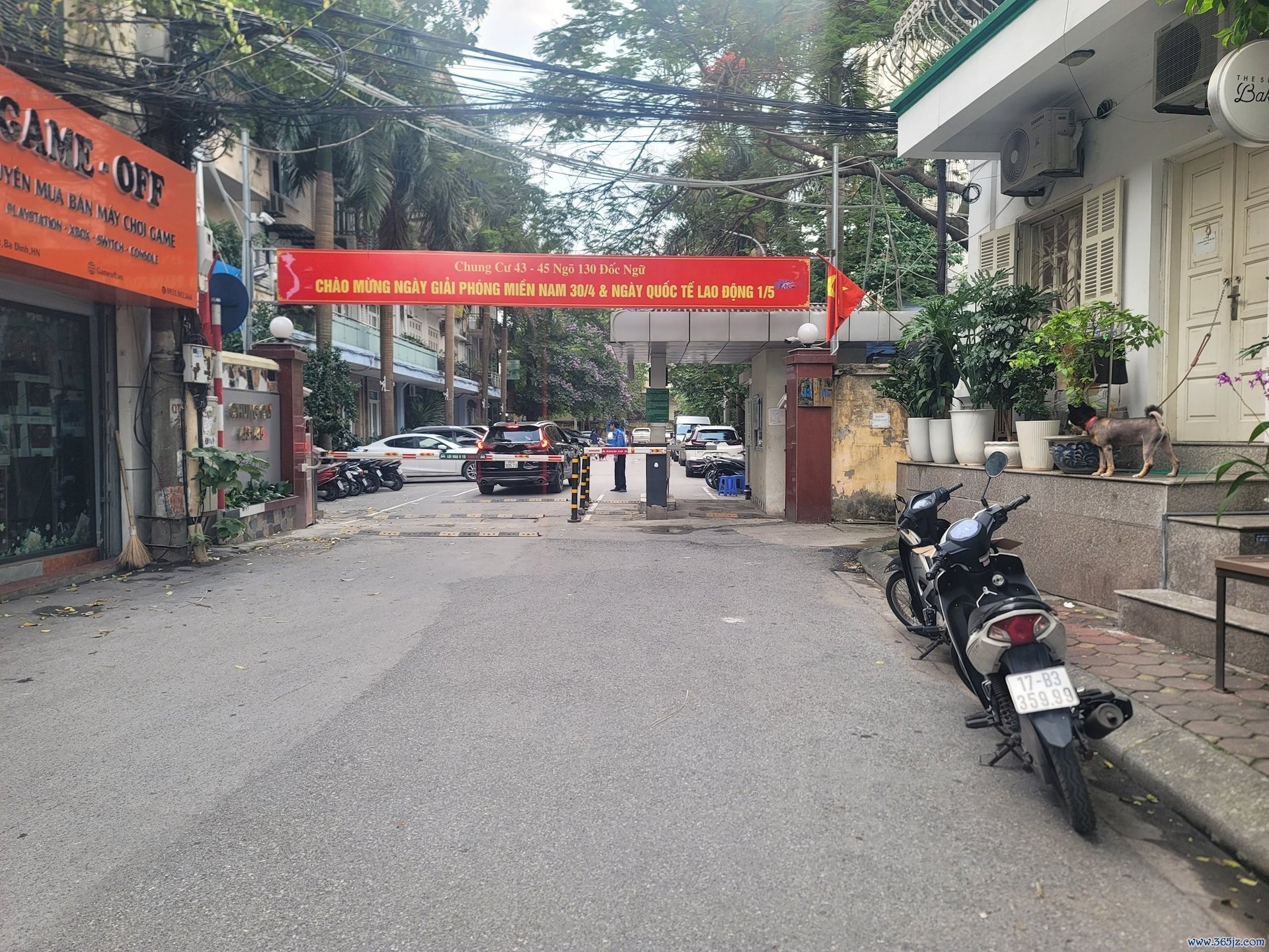 Dat vang Ha Noi anh 1